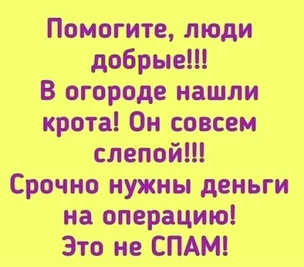 Мем, Mghost Мем, Mghost