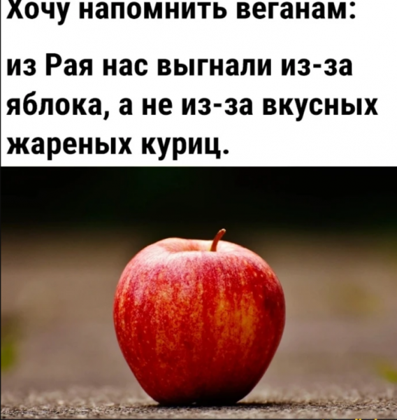 Мем: Из рая выгнали за яблоко а не курицу, RusLan2025