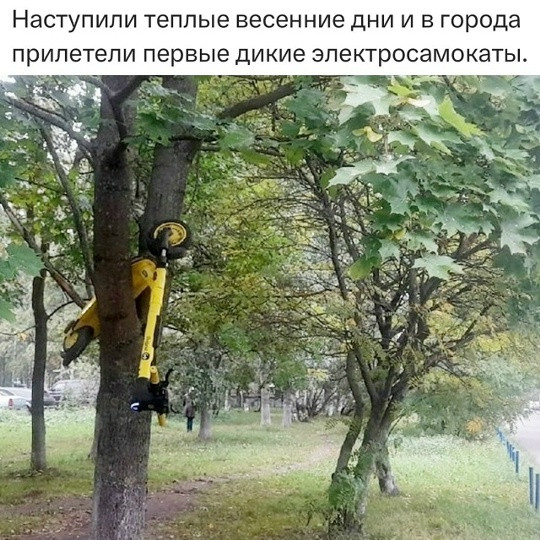 Мем, Смехалка Мем, Смехалка