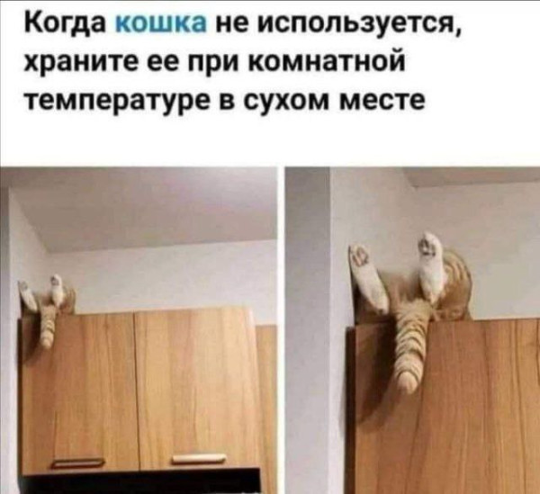 Мем, Hendry Мем, Hendry