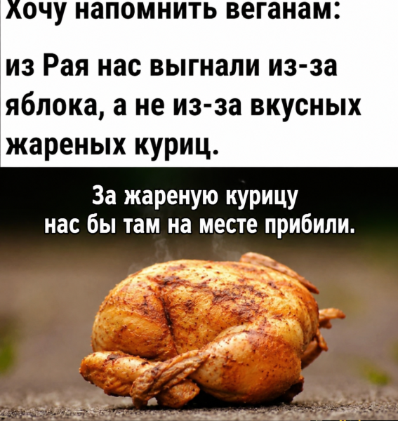 Мем, Diogenes Мем, Diogenes