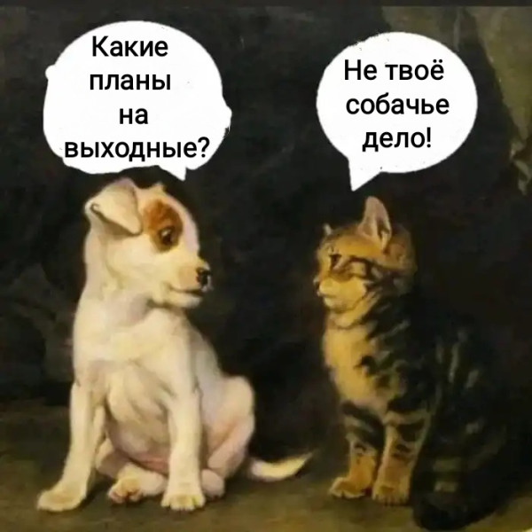 Мем, Рысь Мем, Рысь