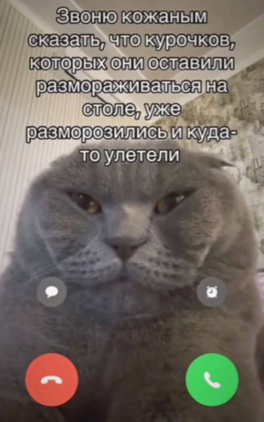 Мем, Mghost Мем, Mghost