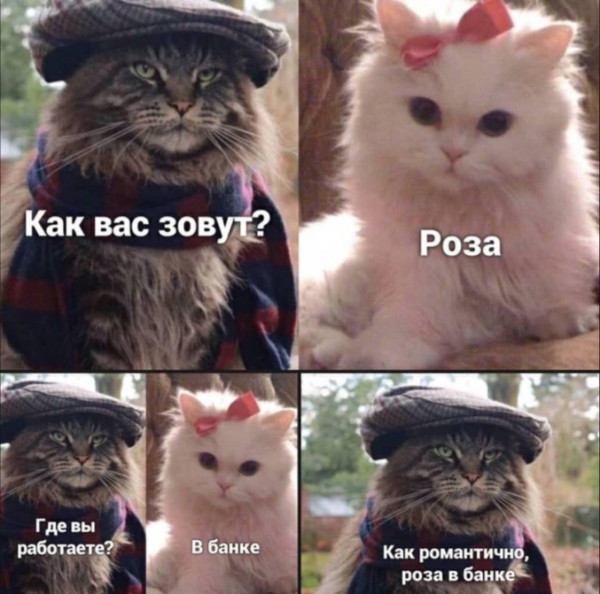 Мем, Mghost Мем, Mghost