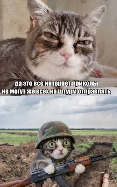 Мем Мем