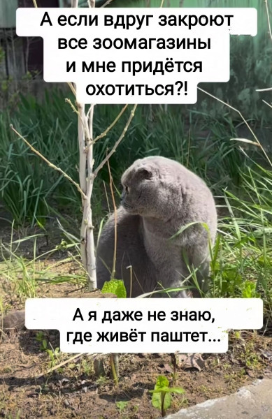 Мем, Рысь Мем, Рысь