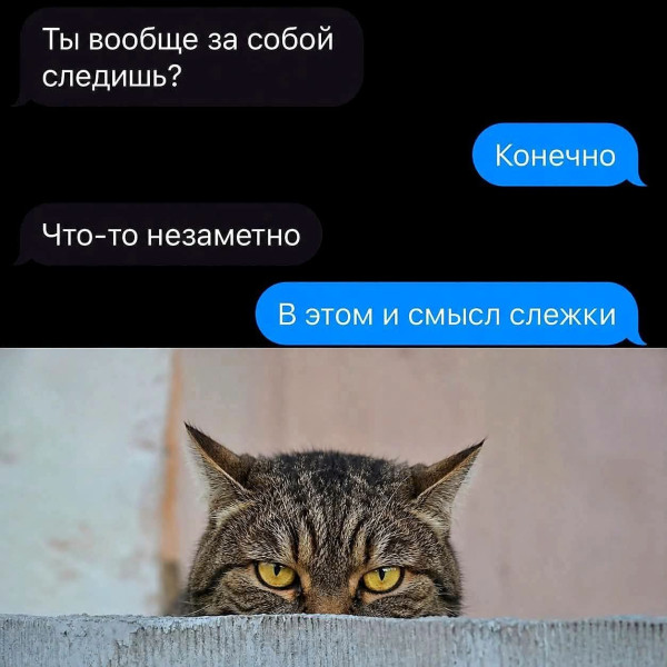 Мем, Jonas Мем, Jonas