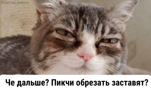 Мем Мем