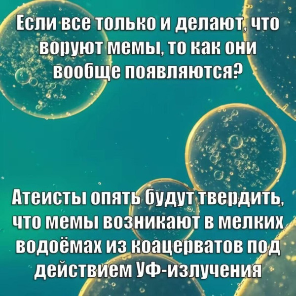 Мем, FDio Мем, FDio