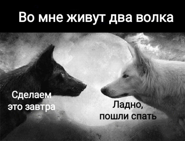 Мем, Рысь Мем, Рысь