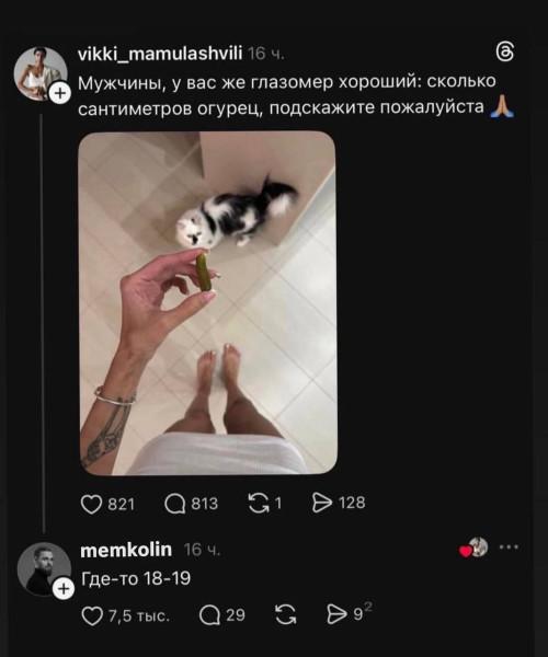 Мем, Ashmedai Мем, Ashmedai