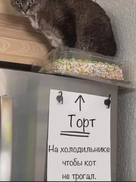 Мем, Смехалка