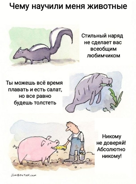 Мем, Рысь