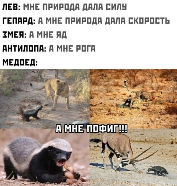 Мем, Смехалка