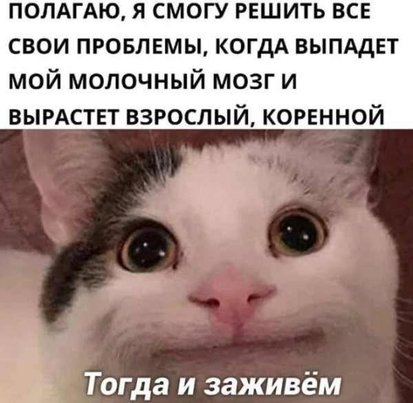 Мем, Смехалка