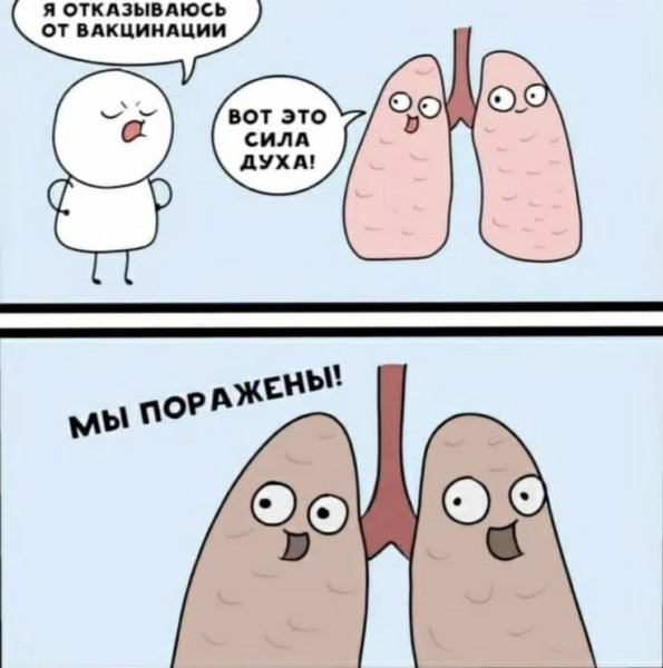 Мем: Мем, iteam
