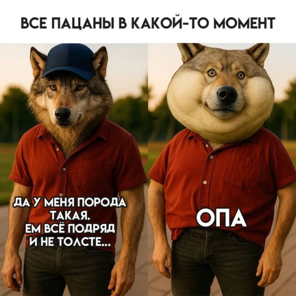Мем: Приколы, iteam