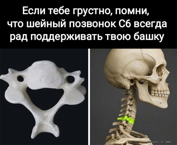 Мем, Рысь Мем, Рысь