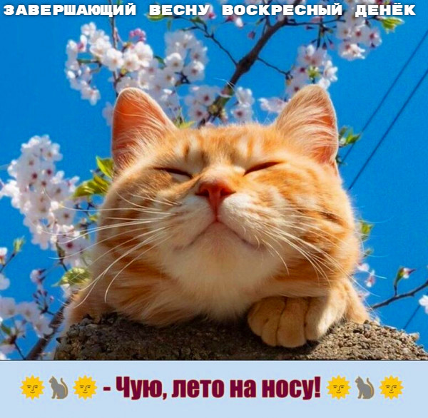 Мем Мем