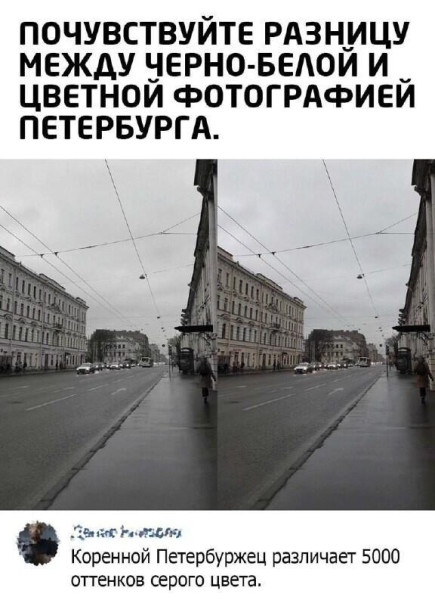 Мем: С днём рождения, Питер!, Антиклептократ Мем: С днём рождения, Питер!, Антиклептократ