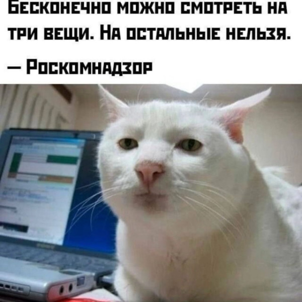 Мем, Msl