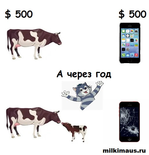 Мем, Лис Интересный Мем, Лис Интересный