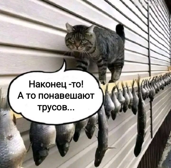 Мем, Рысь