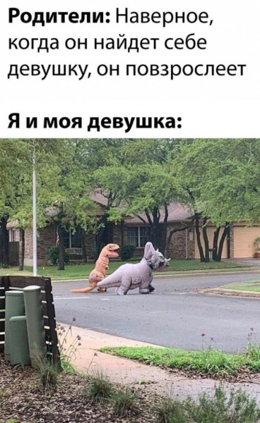Мем: Приколы, iteam