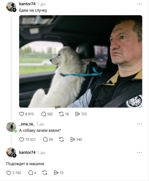 Мем, Ashmedai Мем, Ashmedai