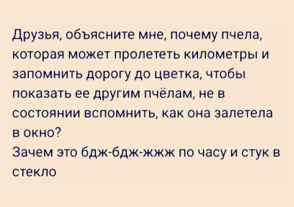 Мем, Bassplayer Мем, Bassplayer