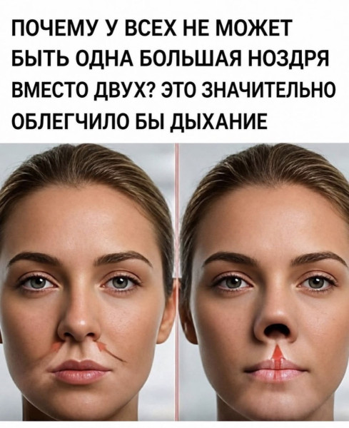 Мем, Bassplayer Мем, Bassplayer