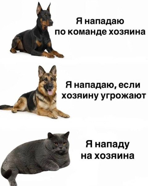 Мем, Hendry Мем, Hendry