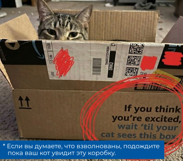 Мем, Леонид Хлыновский Мем, Леонид Хлыновский