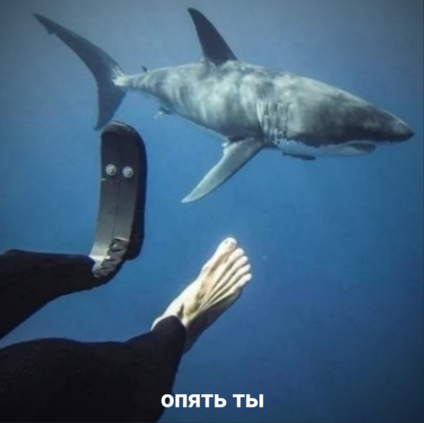 Мем, Plato Мем, Plato