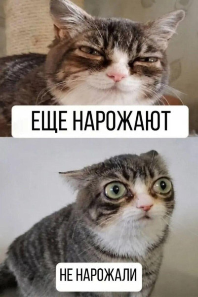 Мем Мем