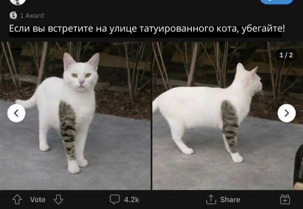 Мем, Леонид Хлыновский Мем, Леонид Хлыновский