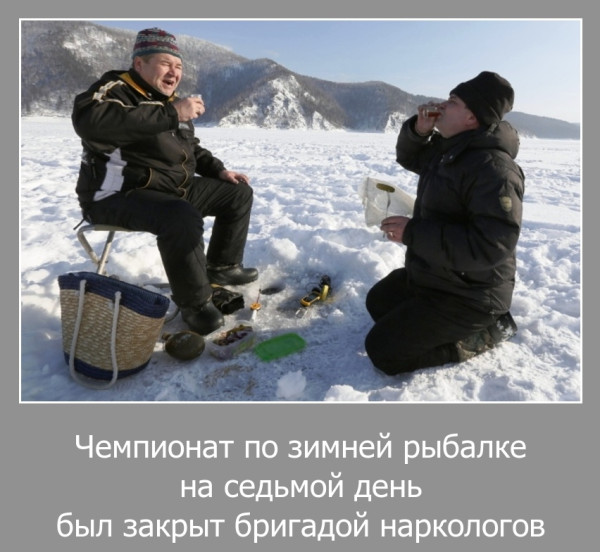 Мем, Волгоградский рыболов Мем, Волгоградский рыболов