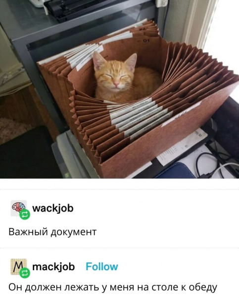 Мем, Леонид Хлыновский Мем, Леонид Хлыновский