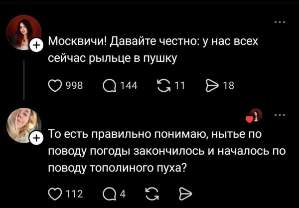 Мем, Ashmedai Мем, Ashmedai