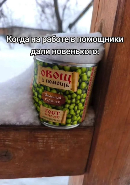 Мем, Ashmedai Мем, Ashmedai