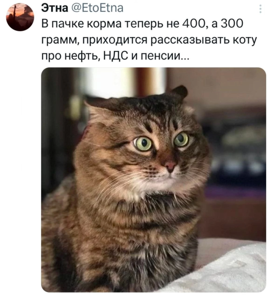 Мем, Mghost Мем, Mghost