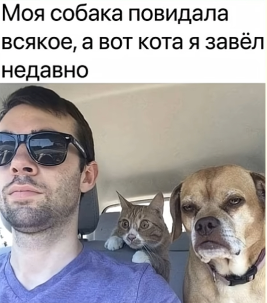 Мем, Mghost Мем, Mghost