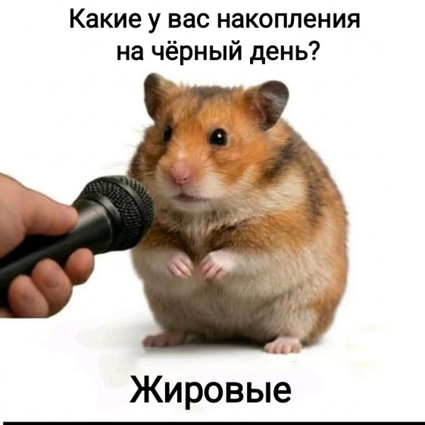Мем, Рысь Мем, Рысь