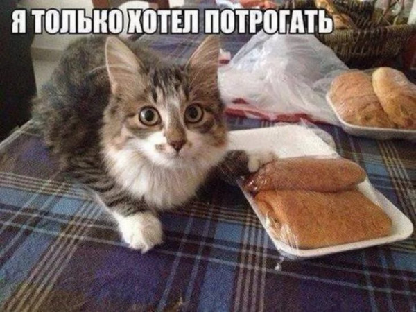 Мем, Леонид Хлыновский Мем, Леонид Хлыновский