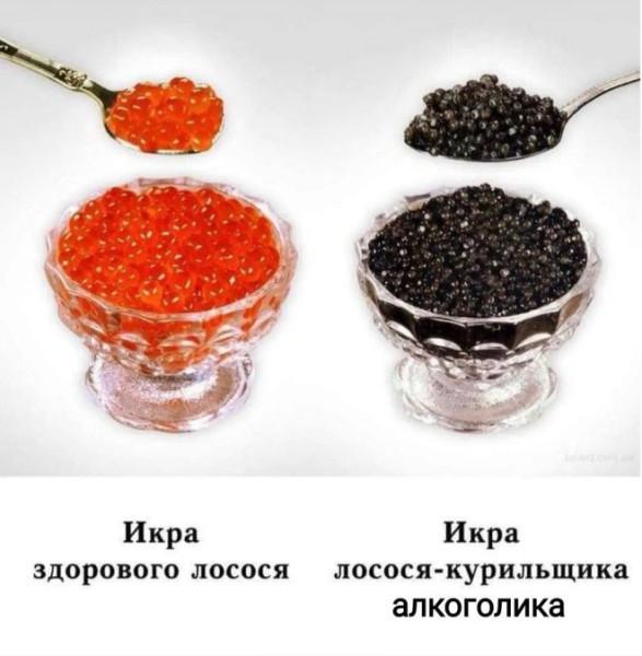 Мем, Bassplayer Мем, Bassplayer