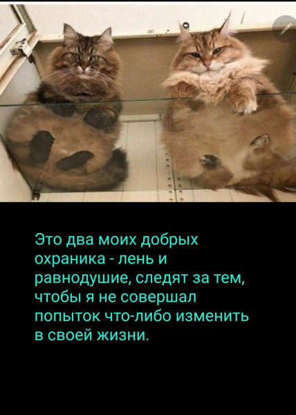 Мем, нумай Мем, нумай