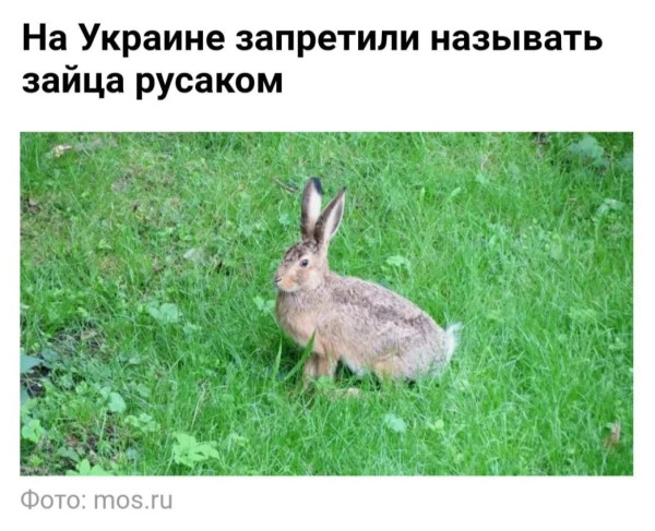 Мем: Удар ниже пояса, Юрий Небольсин Мем: Удар ниже пояса, Юрий Небольсин