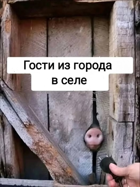 Мем, Рысь Мем, Рысь