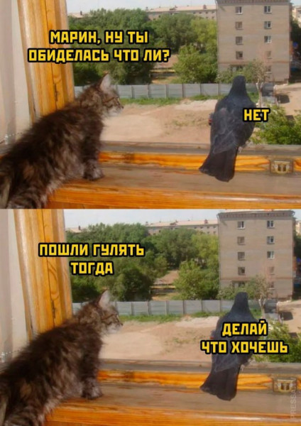 Мем, судьяКригс