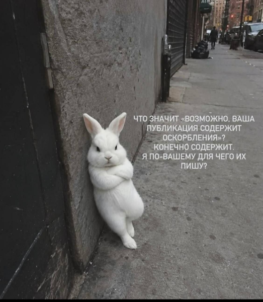 Мем, Mghost Мем, Mghost
